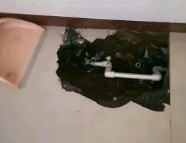 平顶山新华卫生间测漏水多少钱